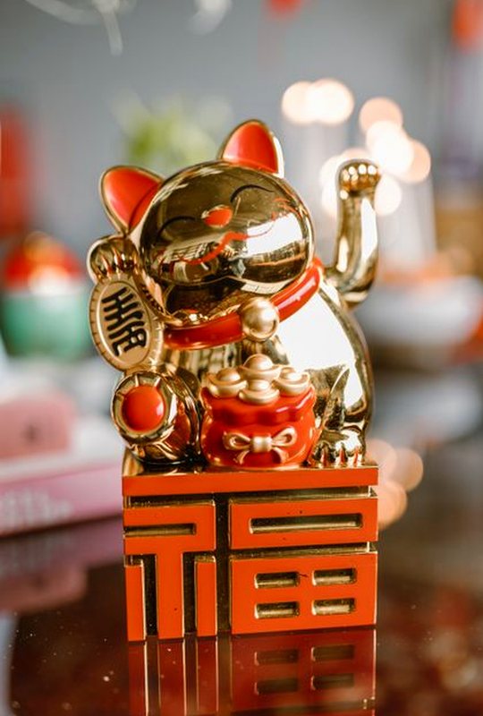 tố cáo SV388